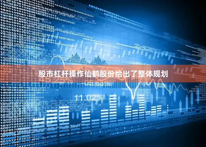 股市杠杆操作仙鹤股份给出了整体规划