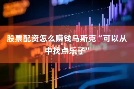 股票配资怎么赚钱马斯克“可以从中找点乐子”