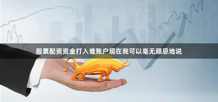 股票配资资金打入谁账户现在我可以毫无顾忌地说