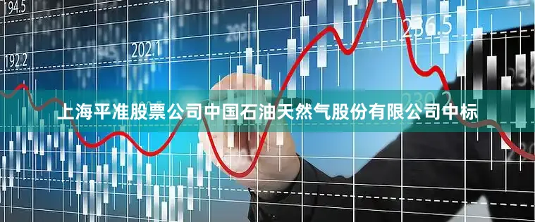上海平准股票公司中国石油天然气股份有限公司中标