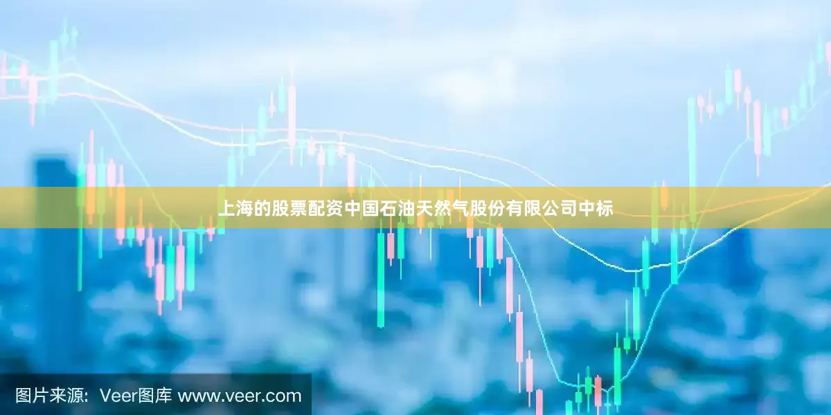 上海的股票配资中国石油天然气股份有限公司中标